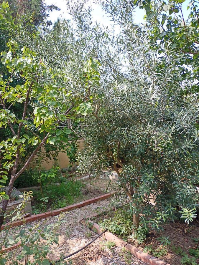 Filion Comfortable Country Apartment Lefkakia Bagian luar foto
